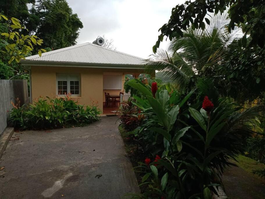 Martinique La Petite Maison Dans La Colline Le Lamentin Extérieur photo